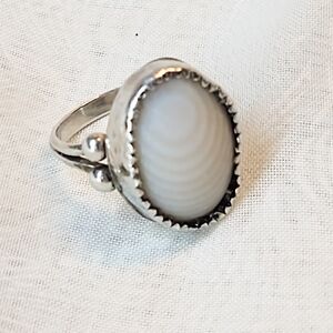 Elegant Silver and Pink Shell